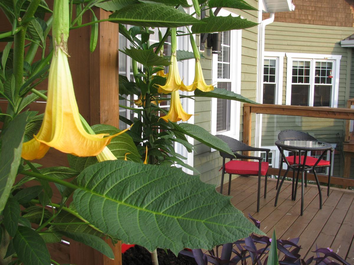 Gi'Temps Couette Et Cafe B&B Granby Zewnętrze zdjęcie